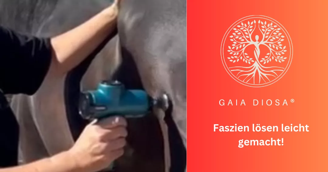 Faszien lösen leicht gemacht Pferd Faszien lösen leicht gemacht Pferd