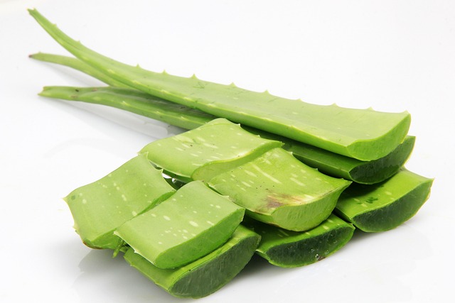 DIY Haarshampoo mit Aloe und dem Zunderschwamm DIY Haarshampoo mit Aloe und dem Zunderschwamm